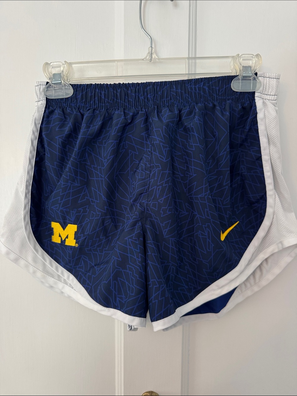 Nike Michigan Shorts